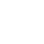 Logo_VincenzoLanzaro_White_150x150
